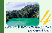 Full Day Snorkeling by Speed Boat