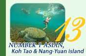 Number 1: Koh Tao and Nang-Yuan island