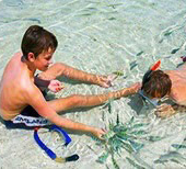 Koh NangYuan by JC Tour